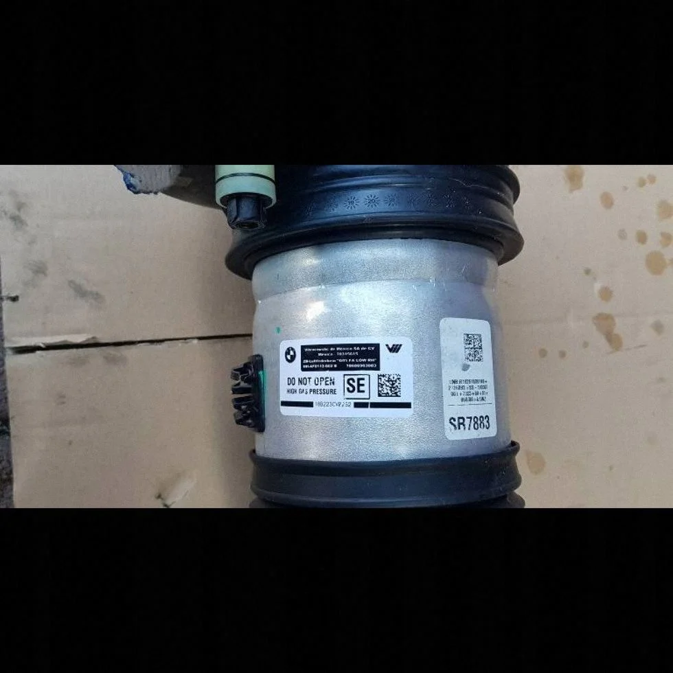 BMW X5 G05 2019 Luftfederbein Rechts AF0113310