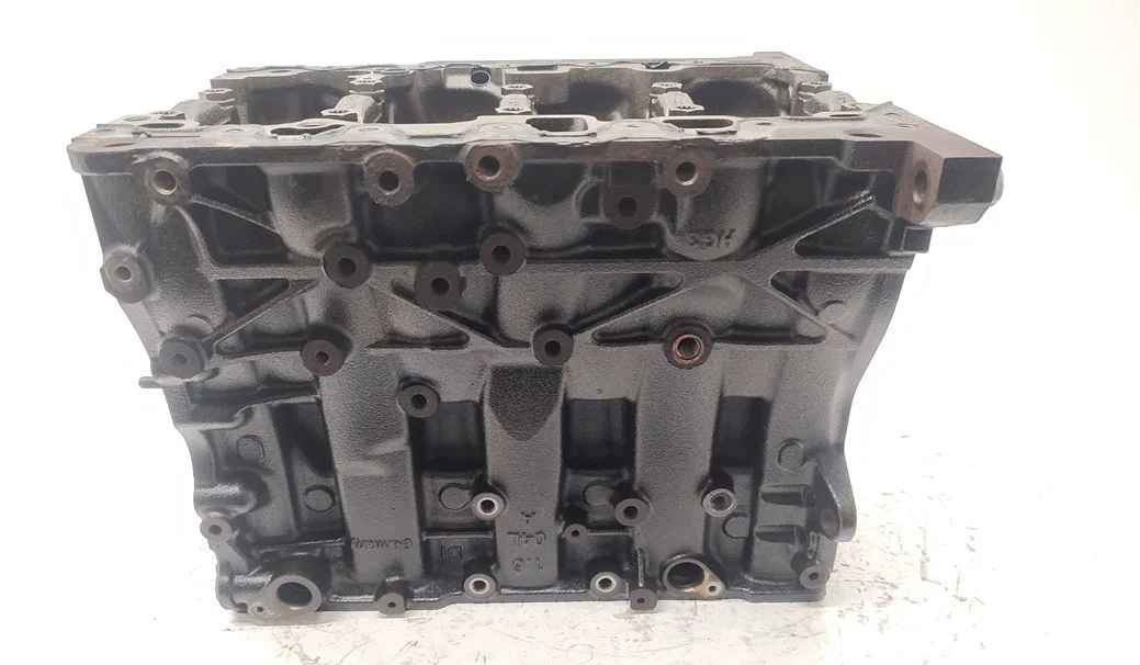 Blocco Motore Audi VW Seat Skoda 1.6 2.0 TDI