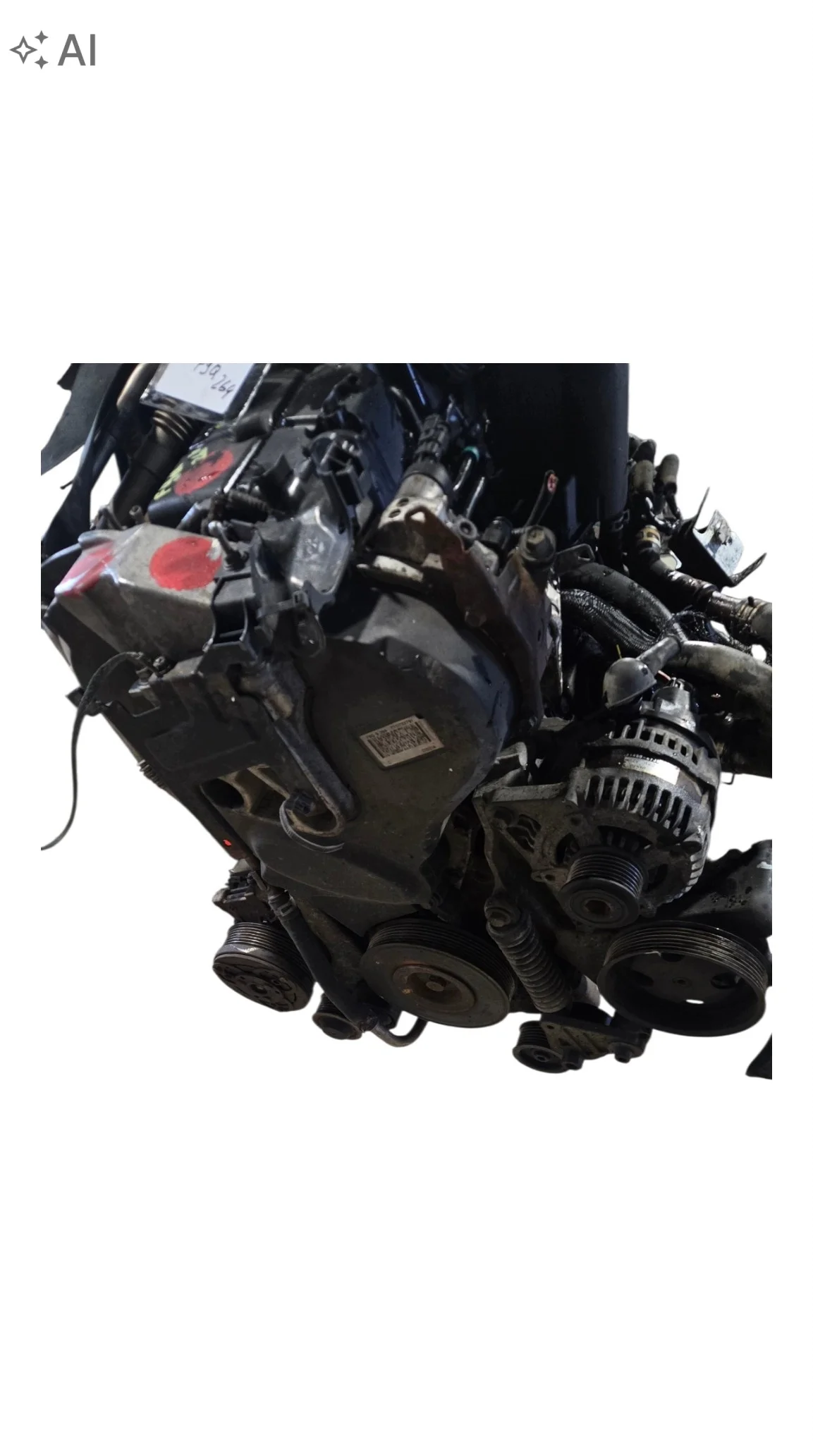 Moteur Suzuki Grand Vitara II F9Q264 image 3