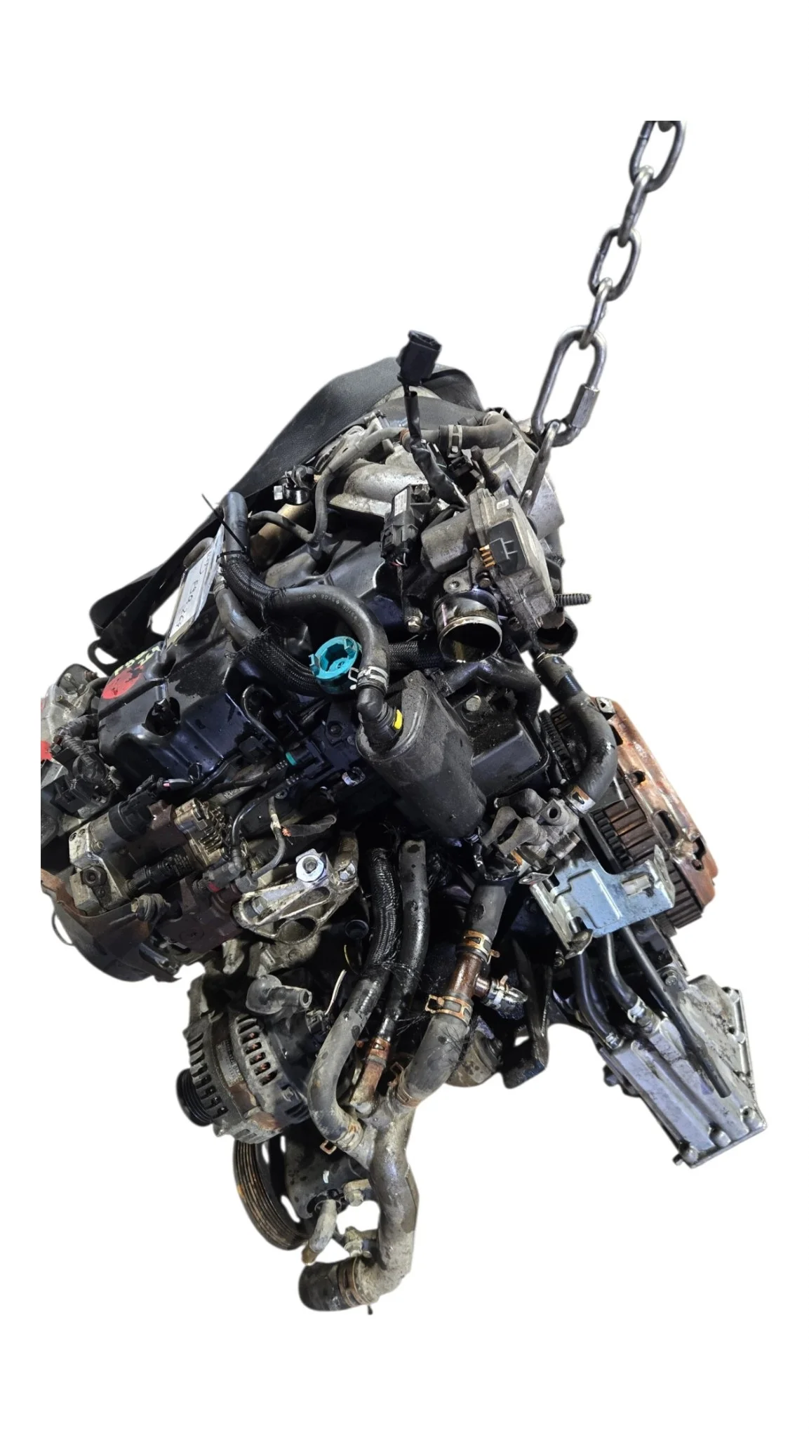 Moteur Suzuki Grand Vitara II F9Q264 image 4