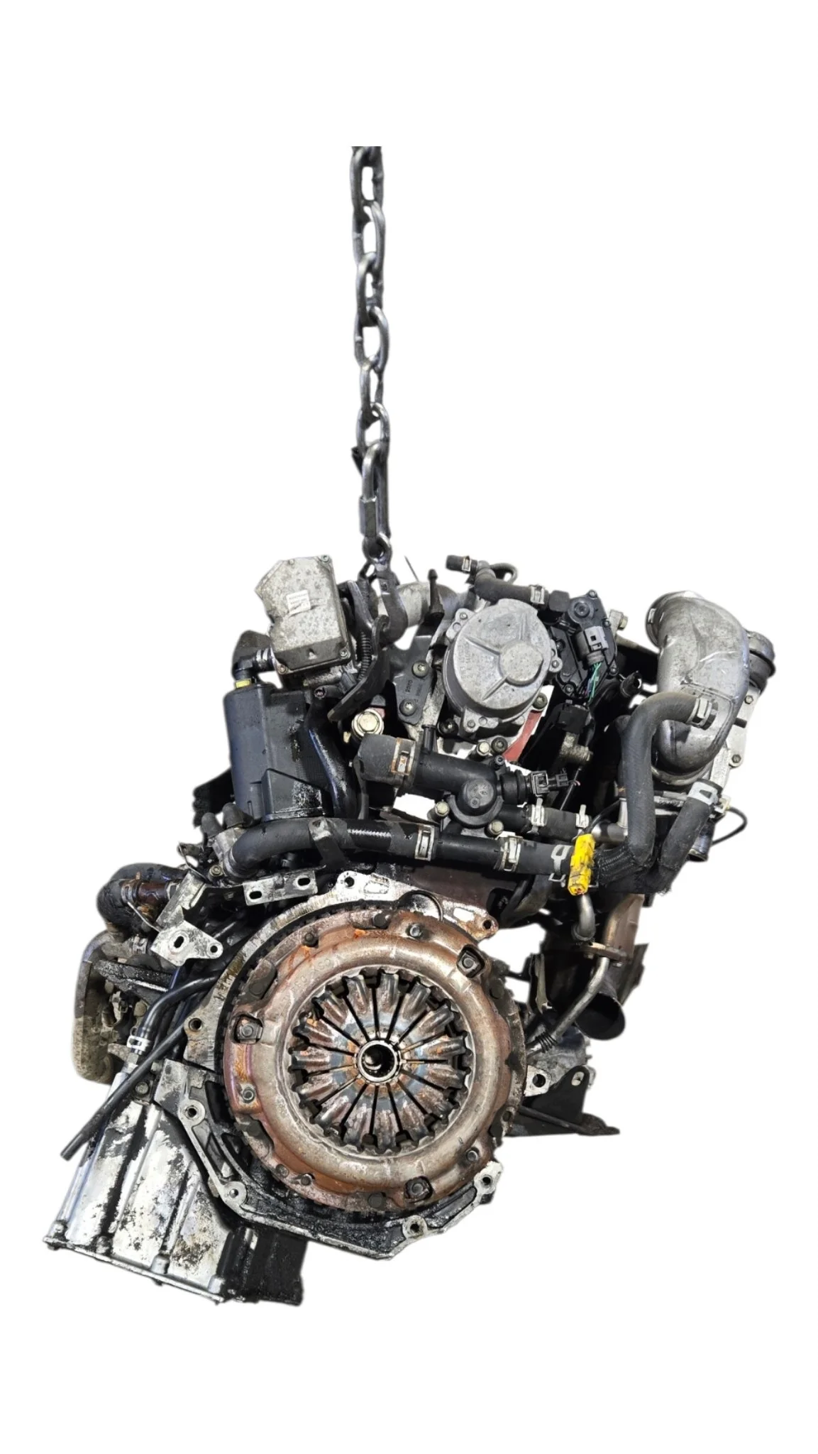 Moteur Suzuki Grand Vitara II F9Q264 image 6