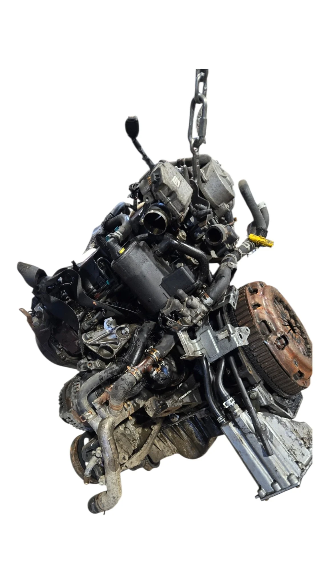 Moteur Suzuki Grand Vitara II F9Q264 image 8