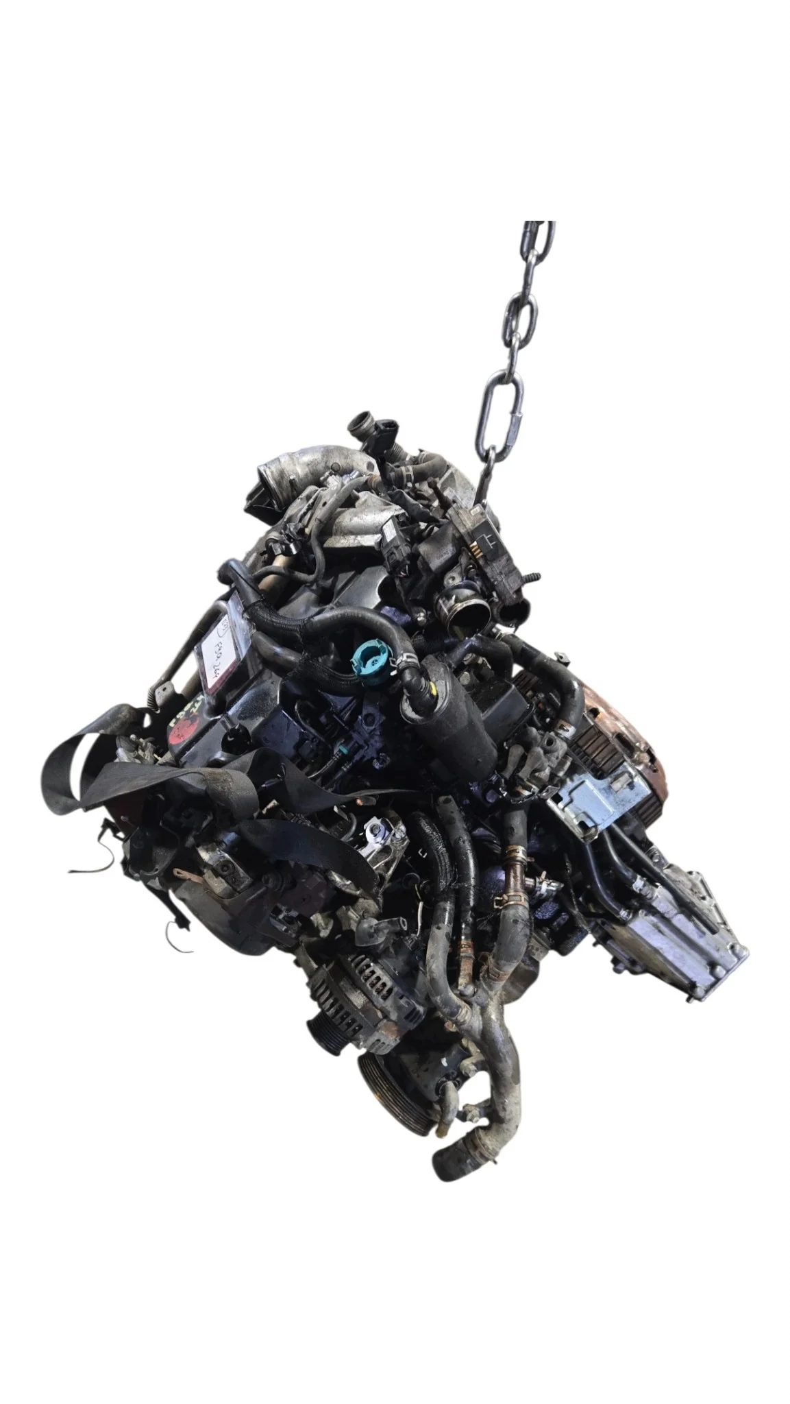 Moteur Suzuki Grand Vitara II F9Q264 image 9