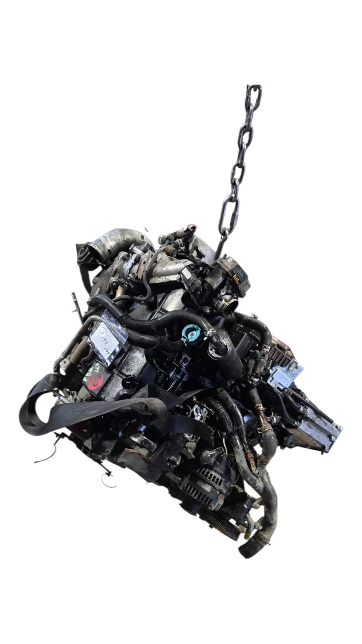 Moteur Suzuki Grand Vitara II F9Q264 image 10