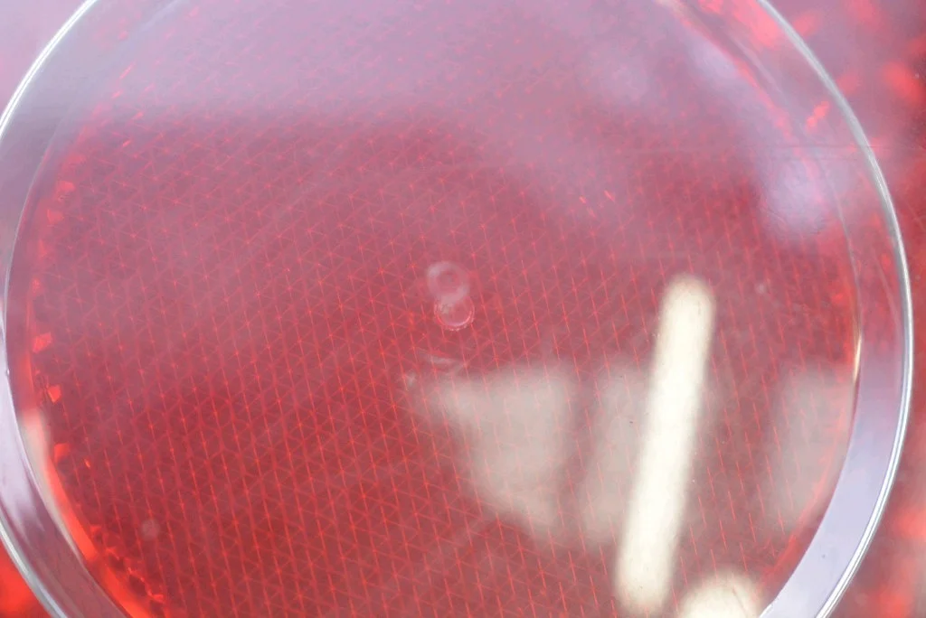 Feu arrière gauche VW Polo 4 9N 05-09 image 7