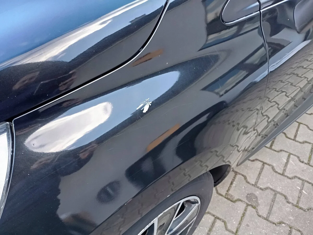 Renault Clio 4 IV BH Stoßfänger Kotflügel image 7