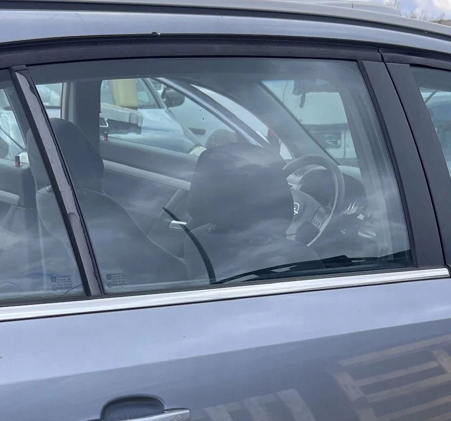 Vidro Porta Opel Signum 03-08 Direito Traseiro