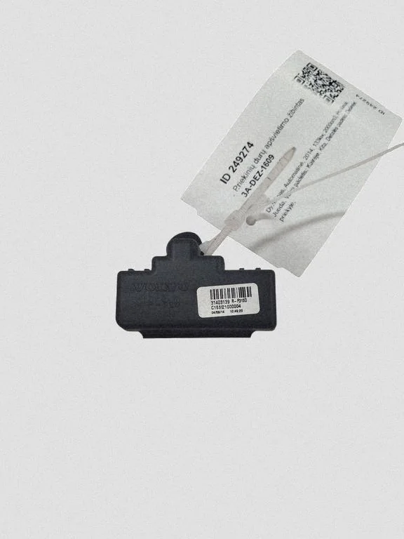 Lampje interieur Volvo S80 II links/rechts 31403139