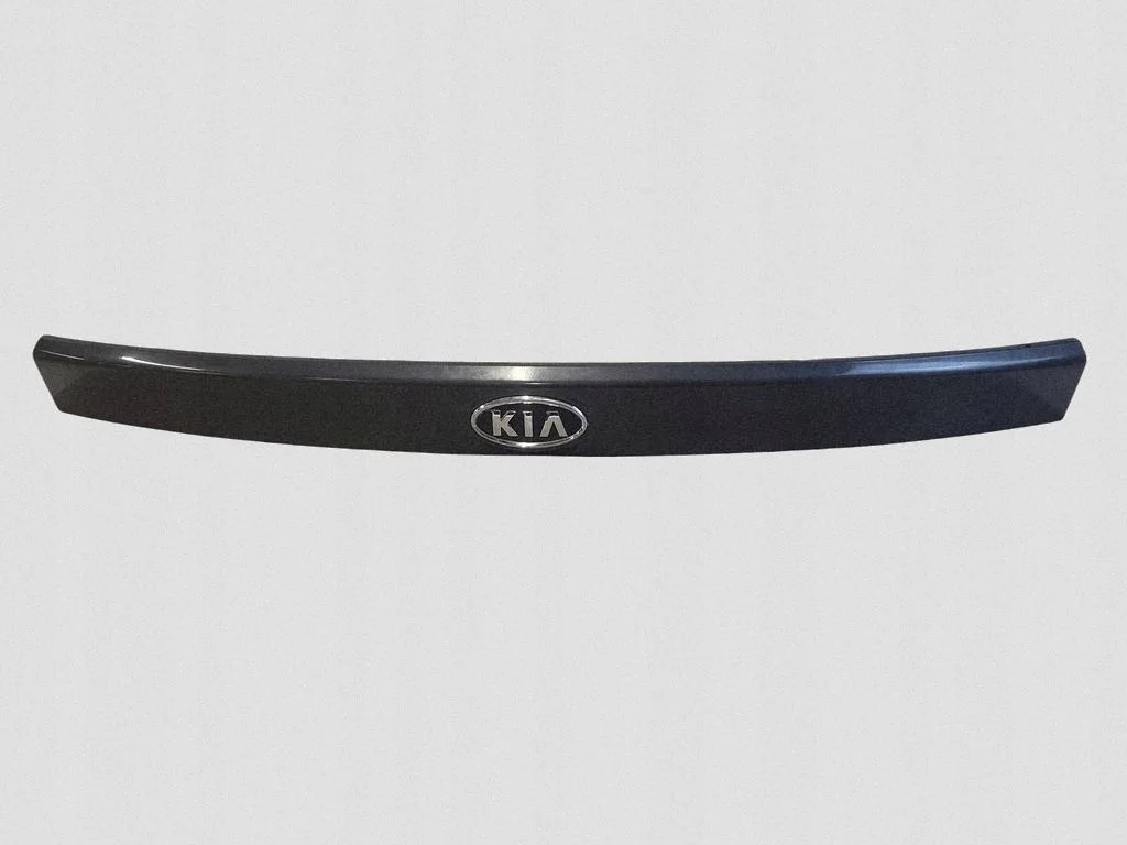 Listello Luce Targa KIA Carens II 873111D000 image 4
