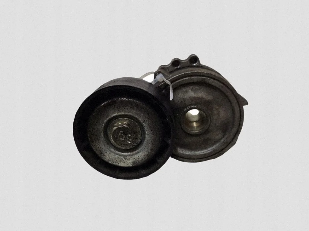 Spannrolle Lichtmaschine Citroen C-Crosser 2008 image 4