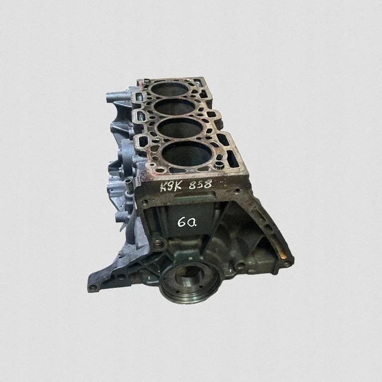 Blocco motore Renault Megane III K9K858