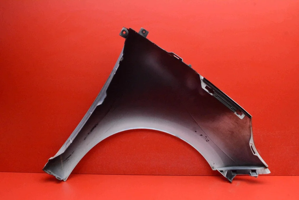 Kotflügel Links Vorne Renault Megane Scenic 3 III image 10