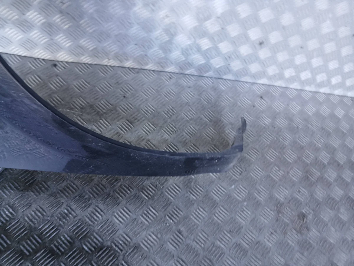 Ailes avant droite Renault Scenic II image 6