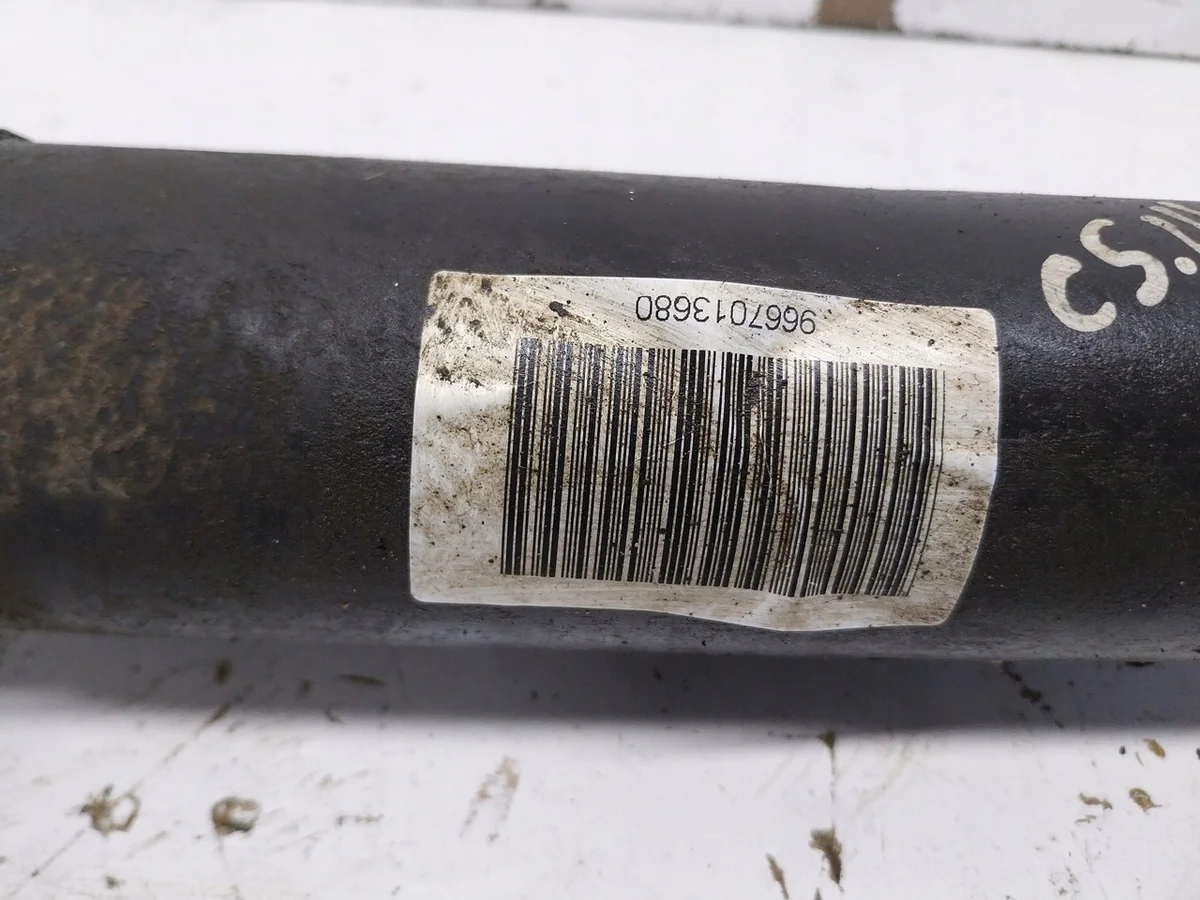 Schokdemper Links Achter Citroen C5 III X7 image 3