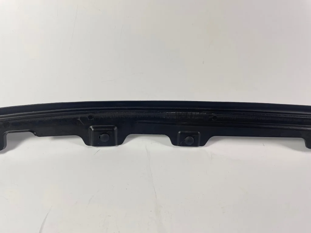 Dichtung Tür vorne links RAM 1500 2019-2024 image 4