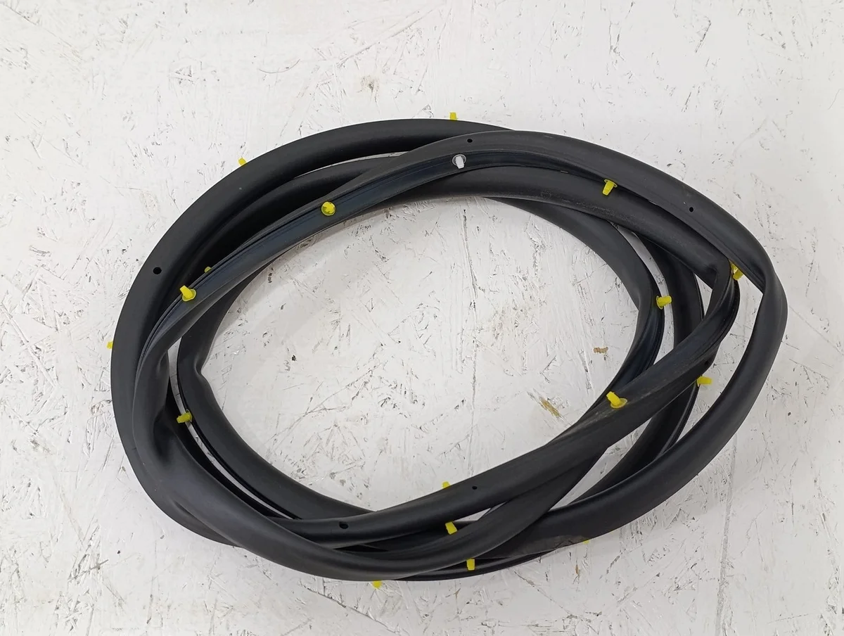 Dichtung Tür Links Vorne BYD SA3F-61207111B image 3