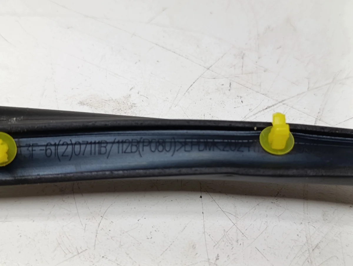 Dichtung Tür Links Vorne BYD SA3F-61207111B image 4