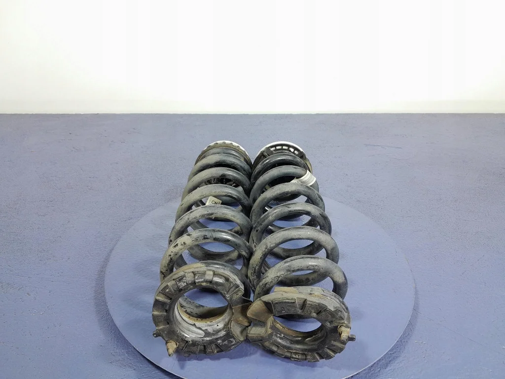 BMW 4 G26 2.0D Federn Hinten L-302948-01