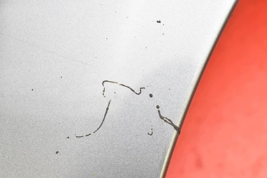Kotflügel Rechts Vorne Grau VW Jetta 5 V 05-11 image 5