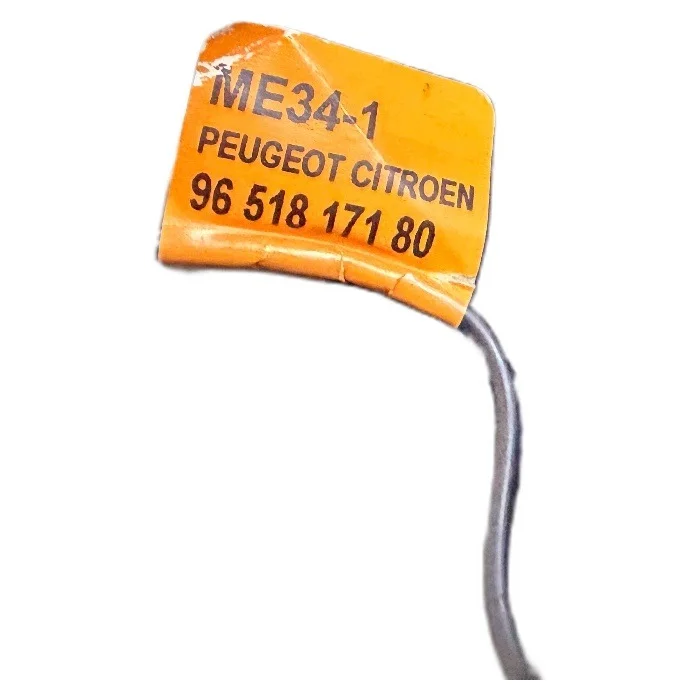 Luz de techo Peugeot 508 9651817180 image 6