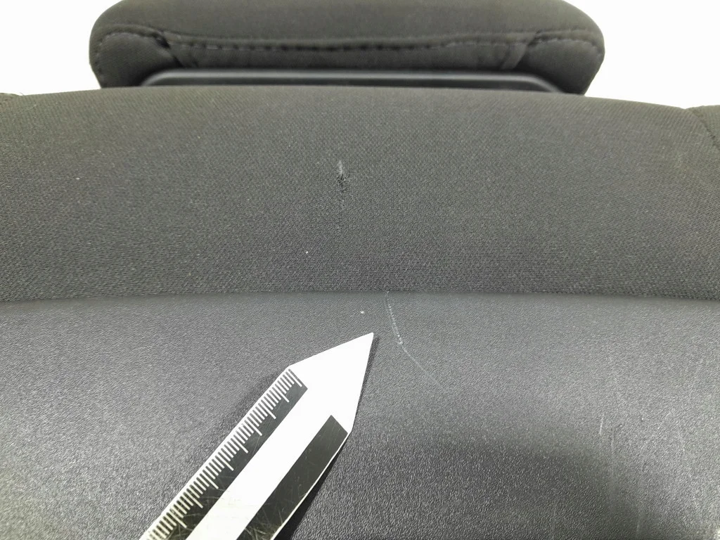 Dodge Challenger III Passagiersstoel Rugleuning image 8