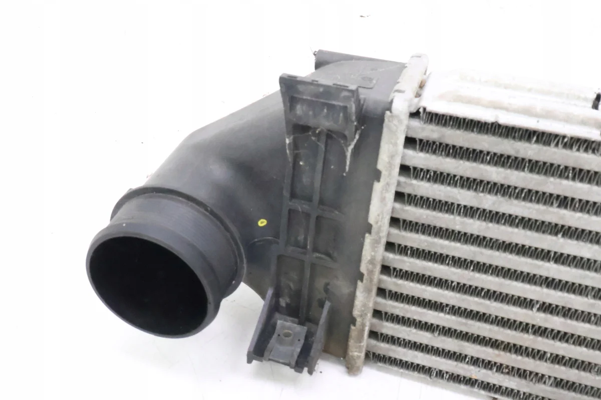Radiador Land Rover OE 6G91-9L440-CD Usado image 3