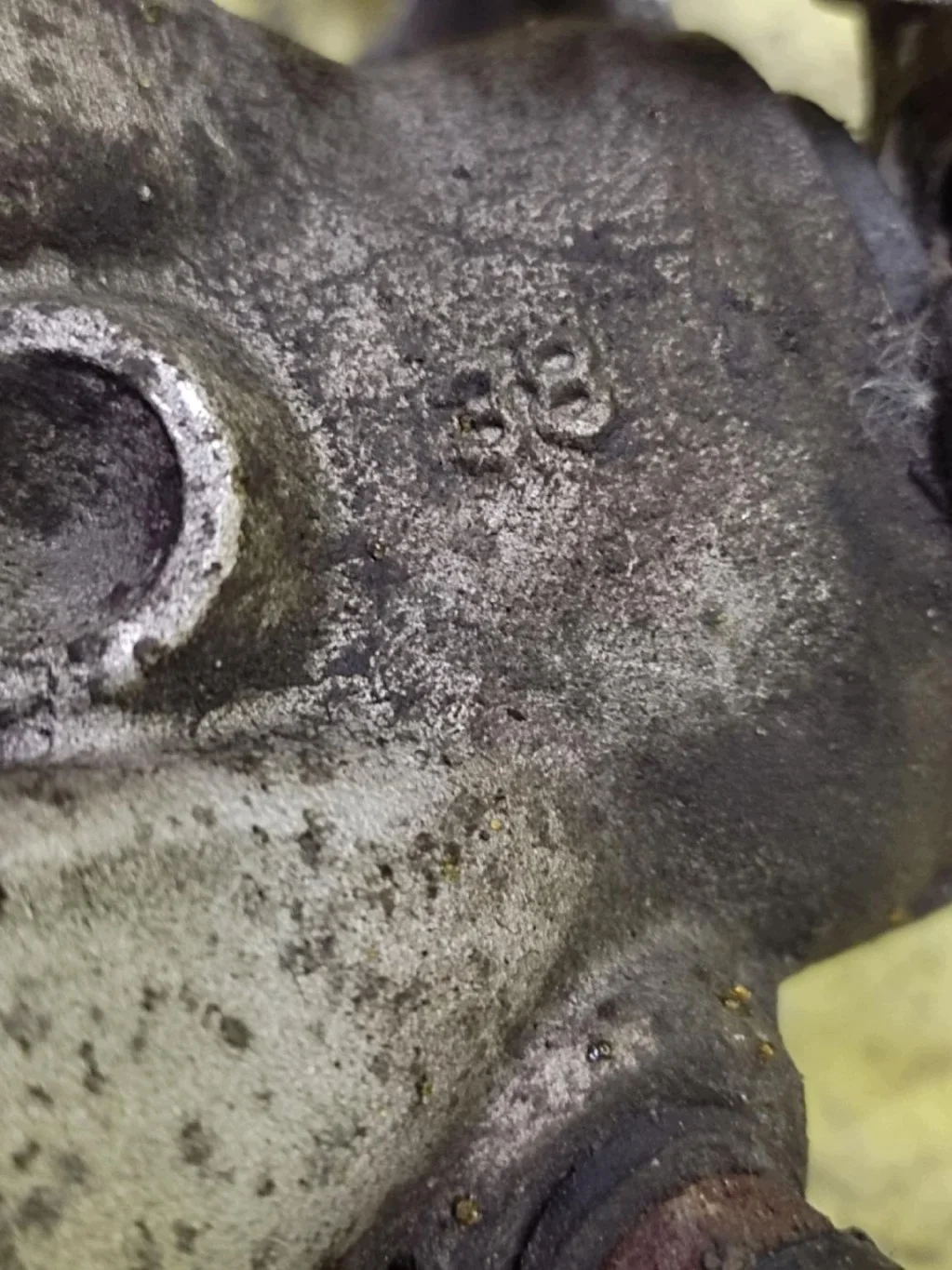 Bremssattel Rechts Hinten Peugeot 307 image 6