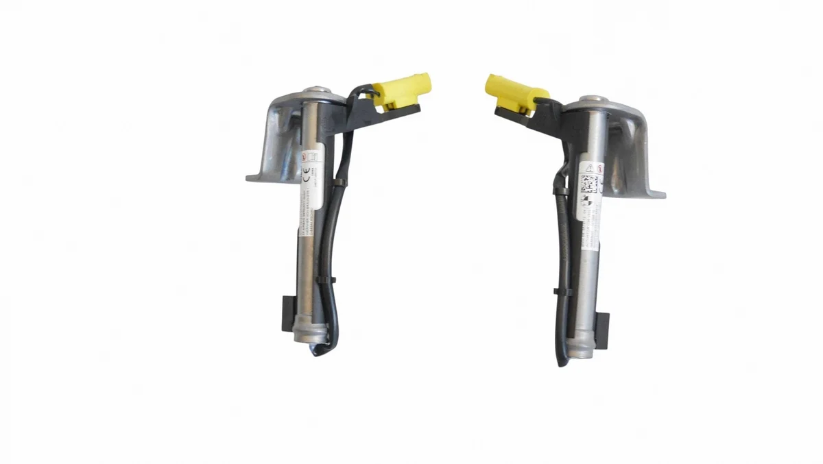 Módulos Mascarilla BMW iX3 Usado OEM 5A79712