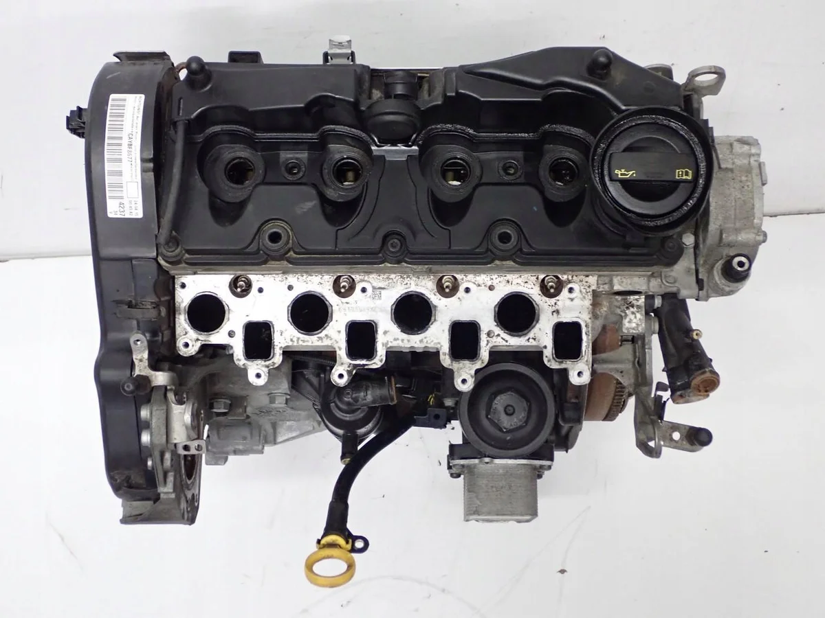 Motor CAY VW Golf VI Caddy III IV 1.6 TDI image 3