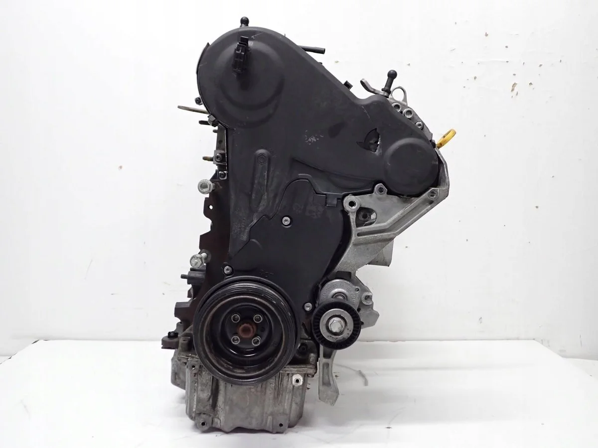 Motor CAY VW Golf VI Caddy III IV 1.6 TDI image 4