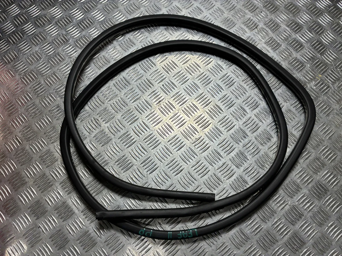 Vedação Porta Nissan Leaf II ZE1 Usada PU34263