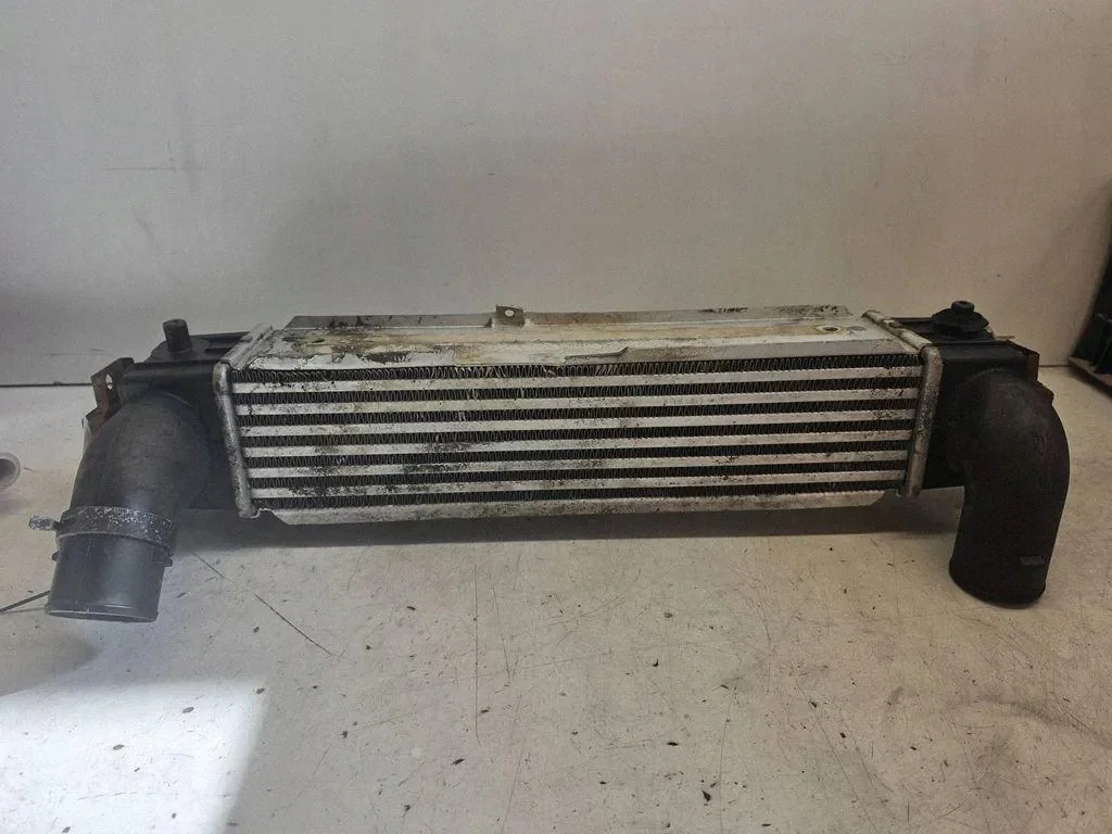 Kia OE 281904A160 Radiador Motor Usado