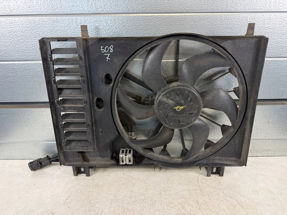 Peugeot Fläktrem 3000257 Använd