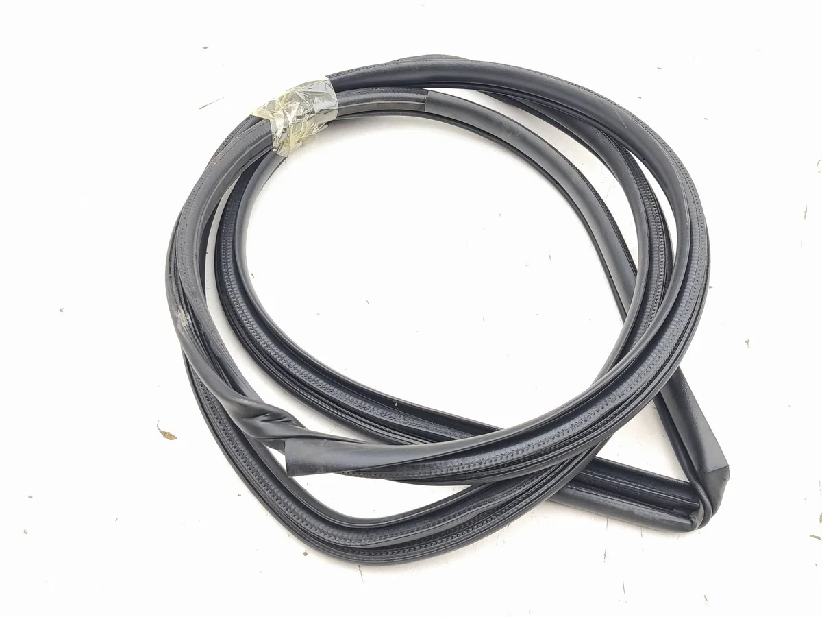 Toyota bZ4X 2023 Dichtung Tür Hinten AMD271470 image 5