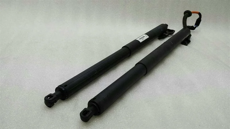 BMW X1 F48 Ammortizzatore Portellone 7481807