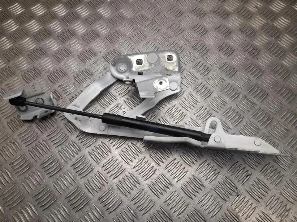 Bisagra Capó Izquierda Evoque L551 Usada