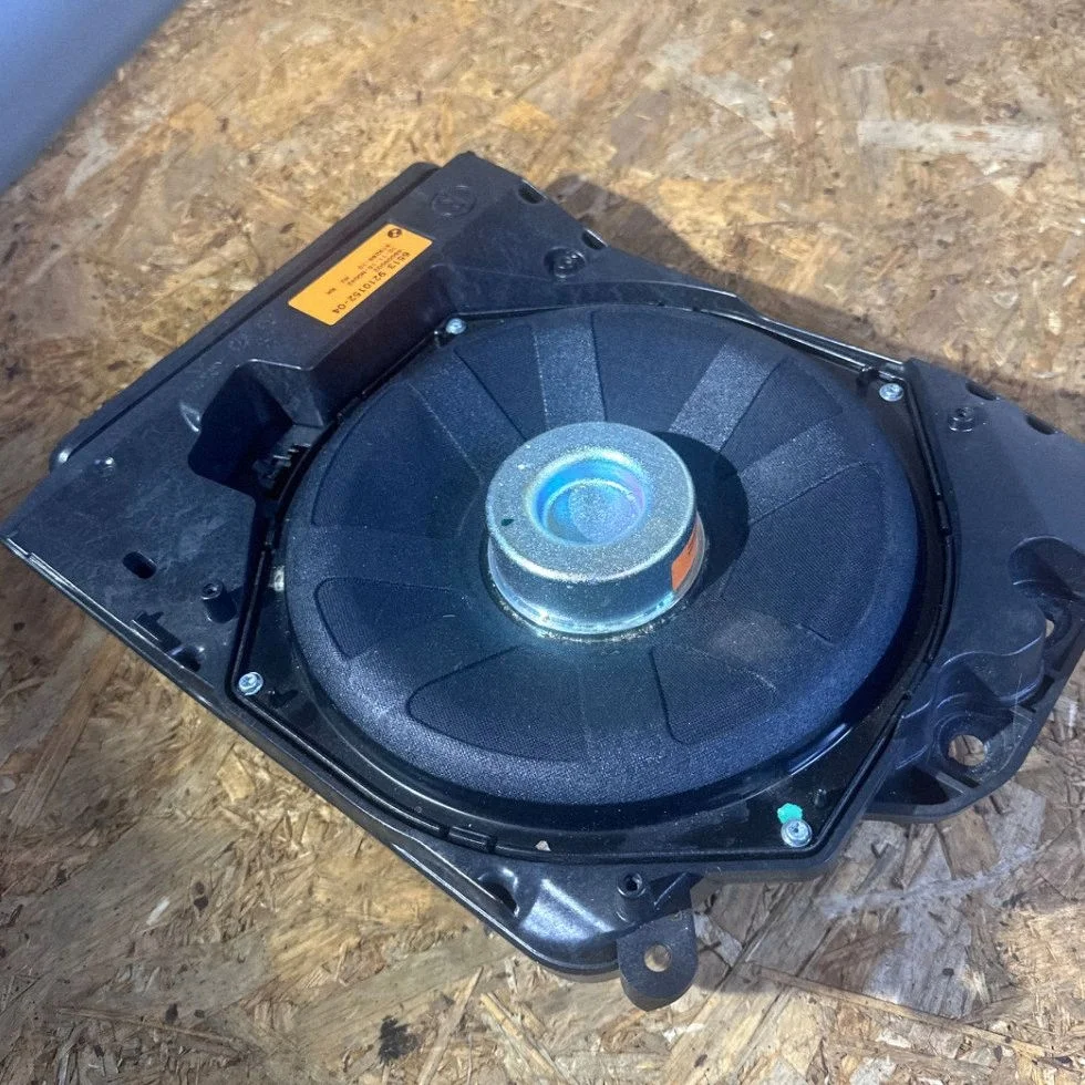 Högtalare Harman Kardon BMW OE 9210152 image 6
