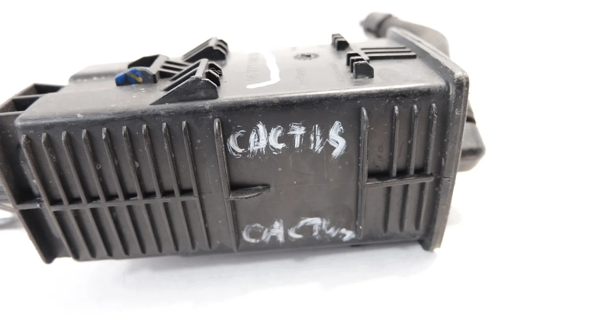 Citroen C4 Cactus Carbon Filter 9677194080 image 5