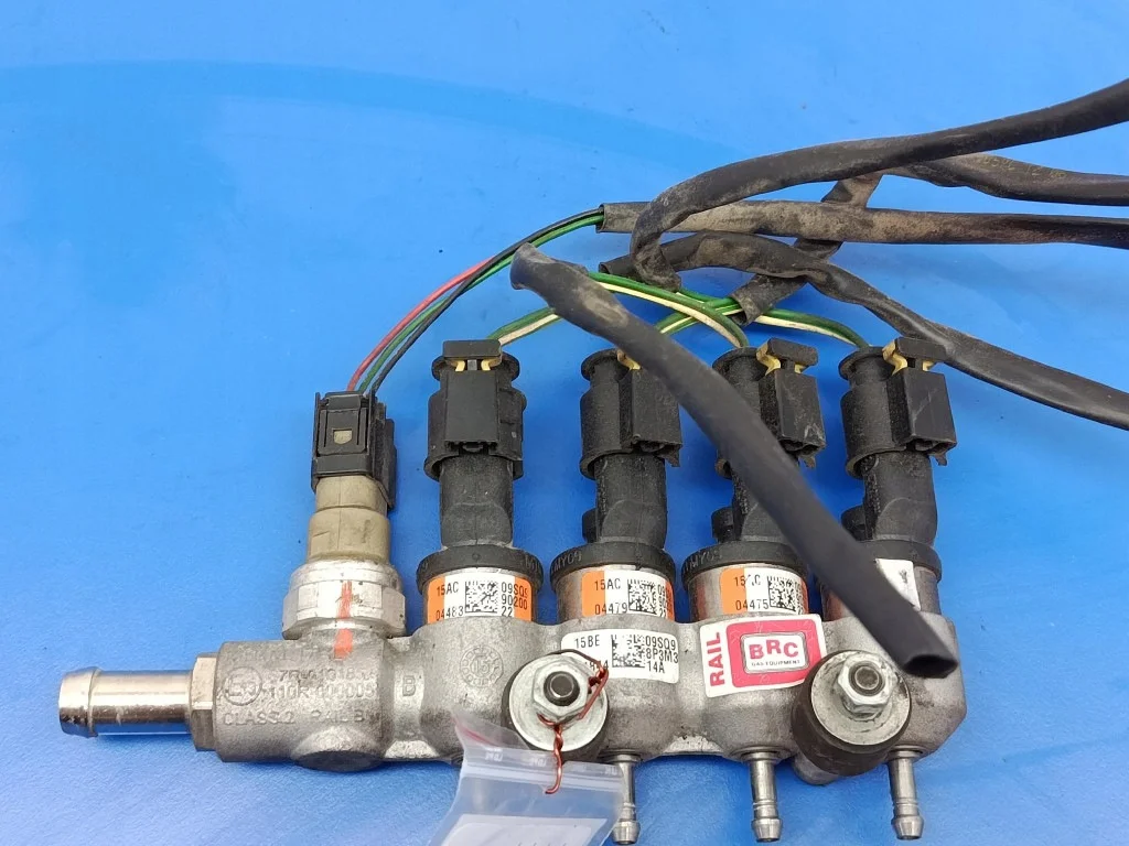 Peugeot 307 Lista Inyectora BRC C-513913-