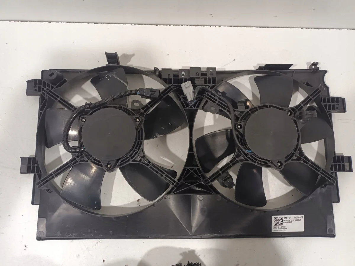 Motor do Ventilador Esquerdo 1253K9 Peugeot 4007, 4008 Original