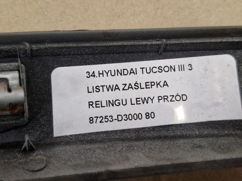 Hyundai Tucson III Leiste Reling Links Vorne image 10
