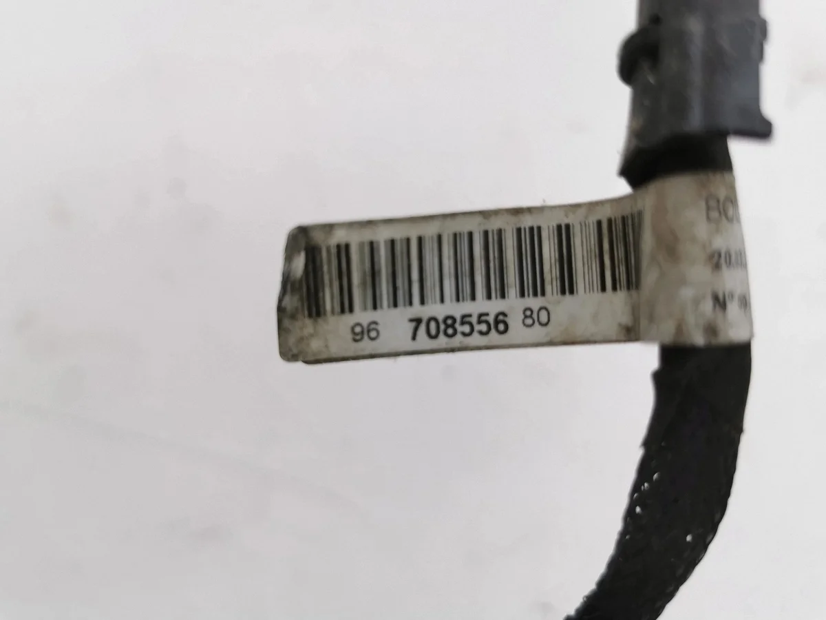 Citroen C4 II Cables de encendido 9670855680 image 3