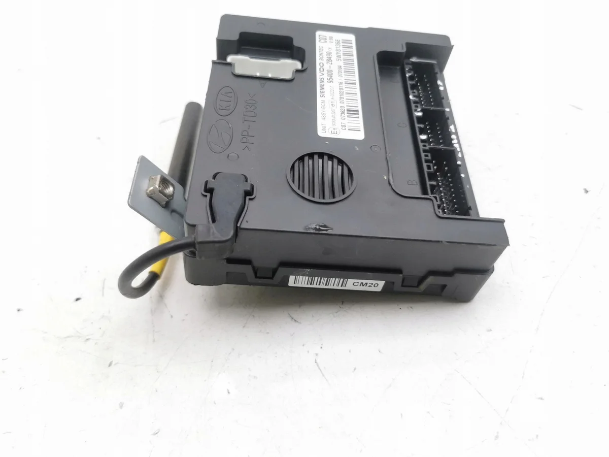 Module immobiliseur Hyundai Santa Fe 2007 image 6