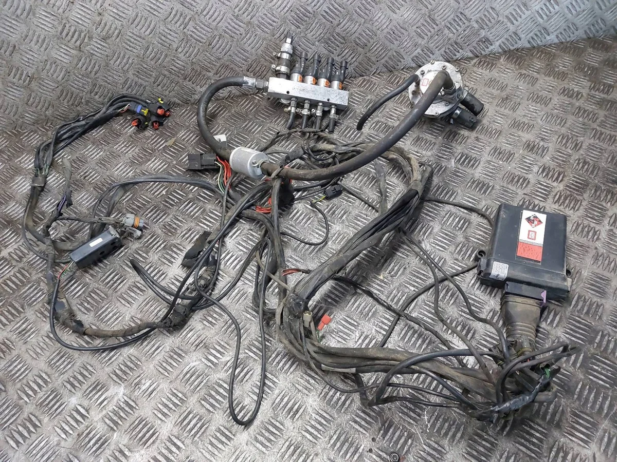 Instalación Gas BRC Sequent 24 Usada