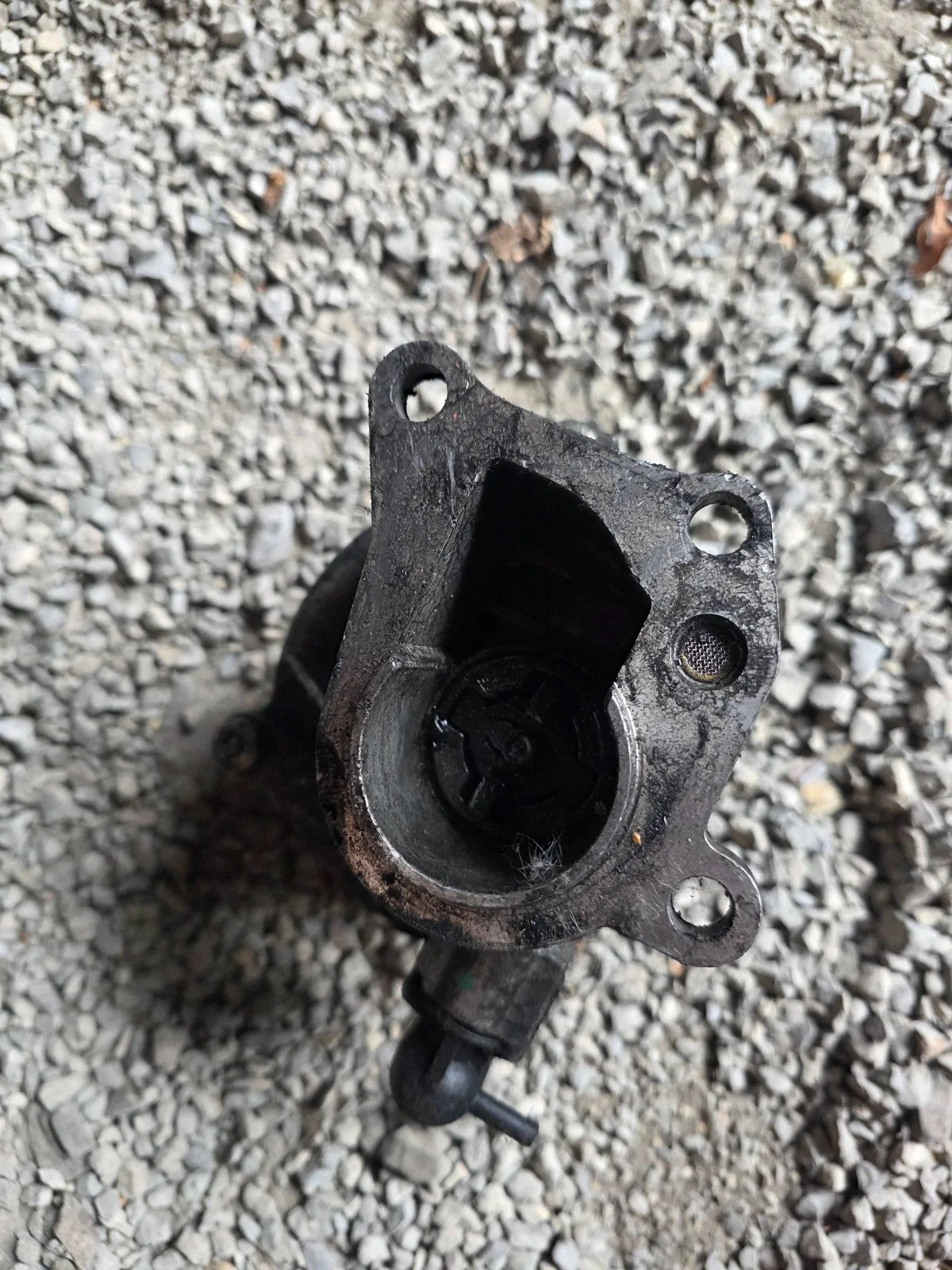 Pompe à vide Renault Scenic I - 123491