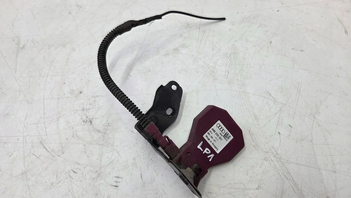 Amplificador Antena Audi RSQ8 Q8 4M0035507 Usado