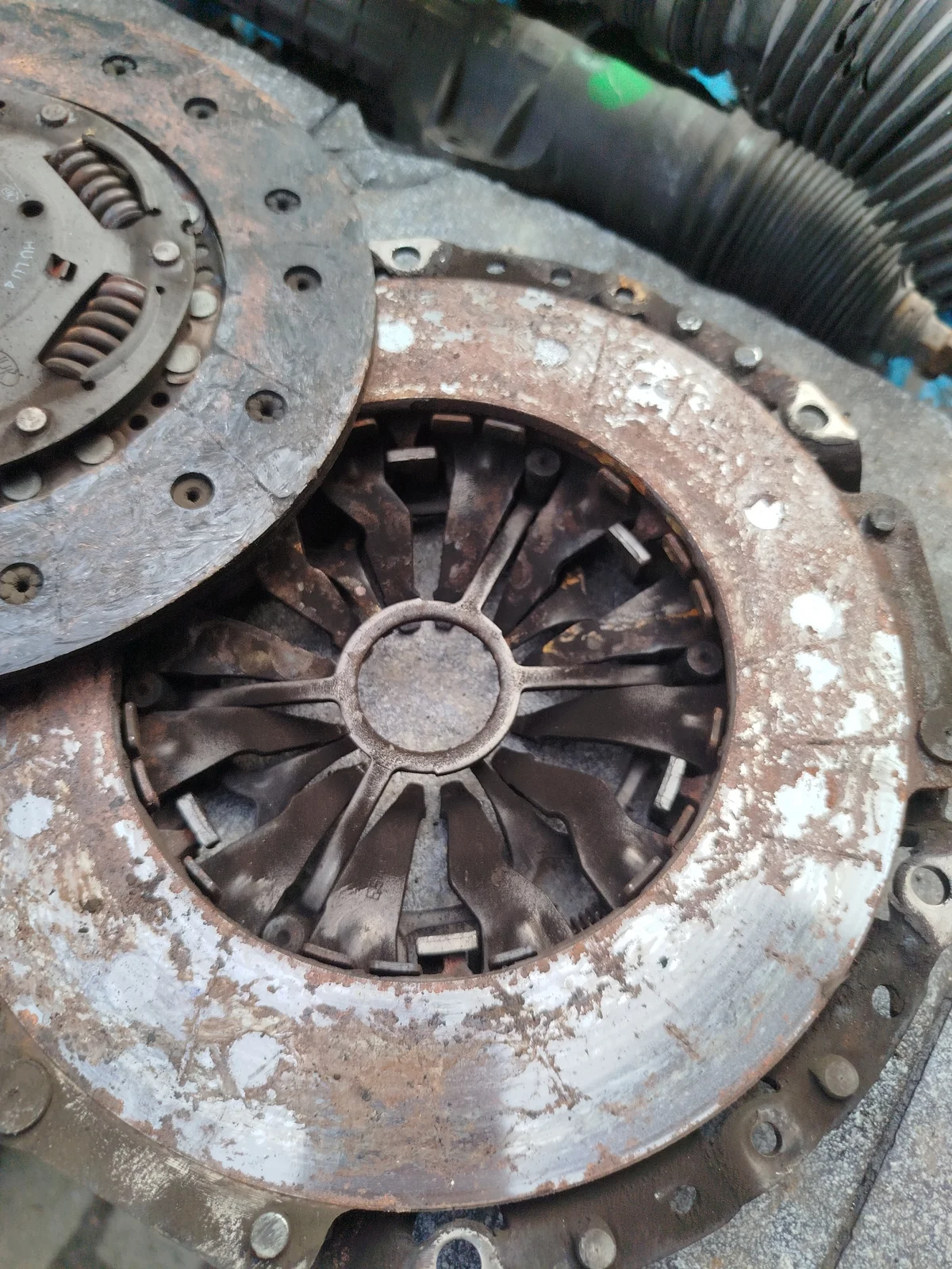 Volano Bimassa Audi A4 B6 1.9 TDI 6M image 8