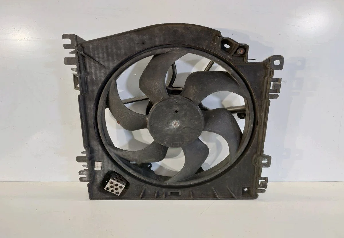 Ventilatore Radiatore Renault Clio III/Thalia 1831442016