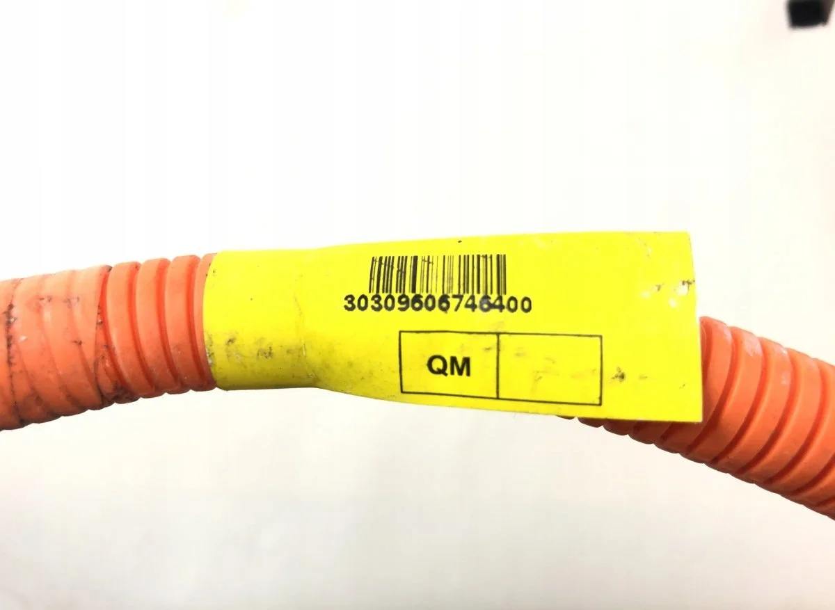 Tesla Riscaldatore Ausiliario 102868900C image 7