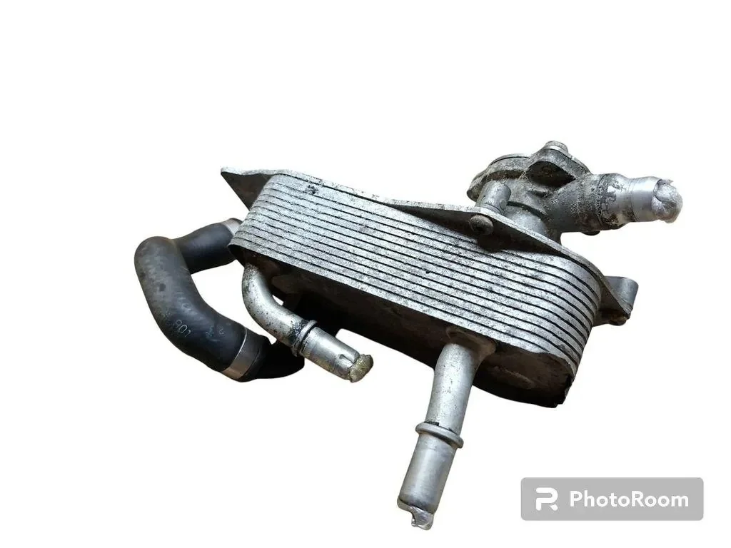 Radiador de Aceite BMW Serie 3 E90 Usado image 4